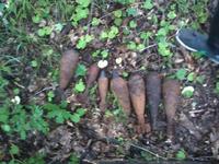 Опасные находки