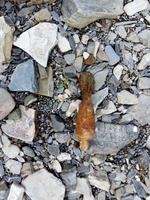 Опасная находка