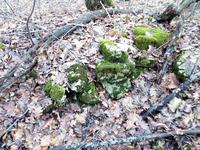 На немецких позициях…