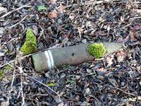 Опасная находка