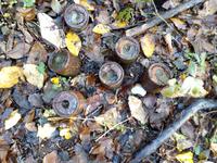 Противопехотные мины-бомбы SD-2