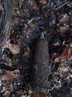 Опасная находка