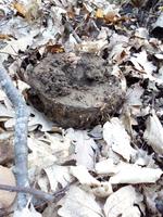 Непонятный предмет