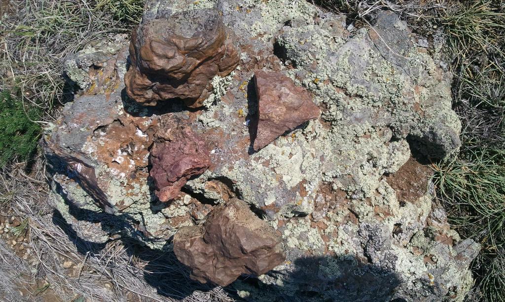 Основная часть