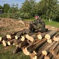 дер. ковкеницы