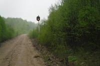 Светофор