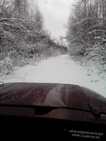 закрыл сезон 2017