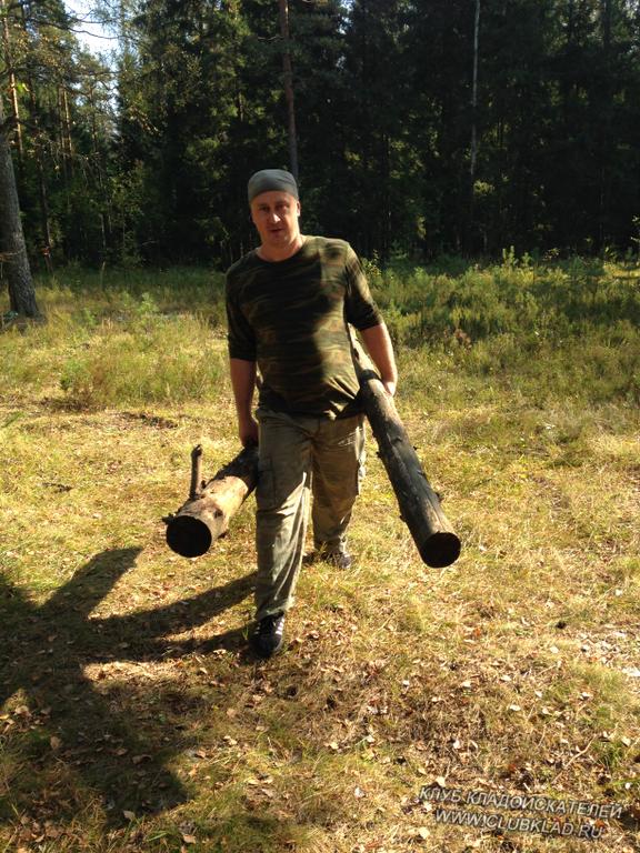 в лесу