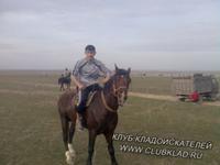 кокпар