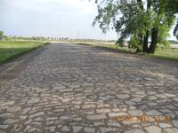 DSCN0529