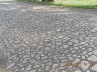 DSCN0530