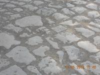 DSCN0547