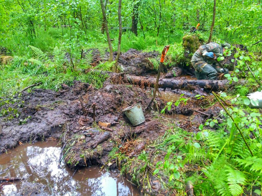 Синявинские джунгли