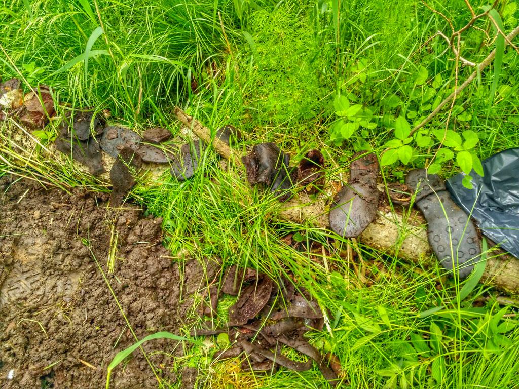 Личные вещи