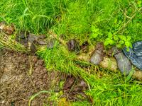 Личные вещи