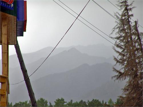 684.jpg