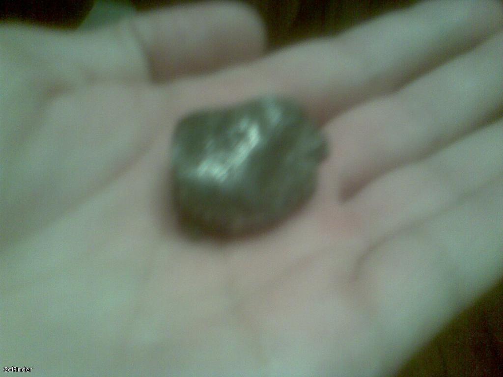 silver_nugget