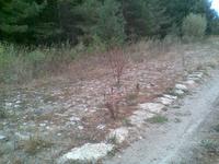 waystone