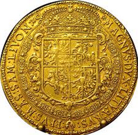 GoldLider
