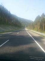 Altai