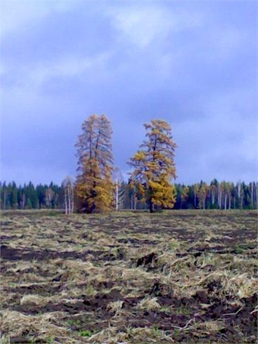 14086.jpg