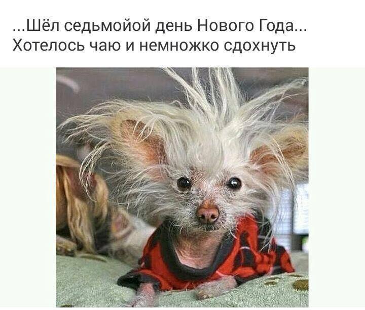 не зли меня