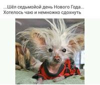 не зли меня