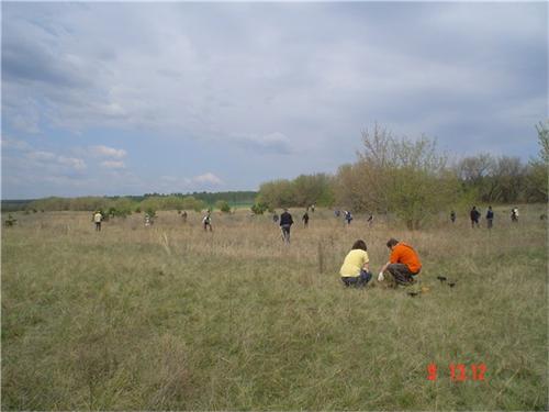 217.jpg