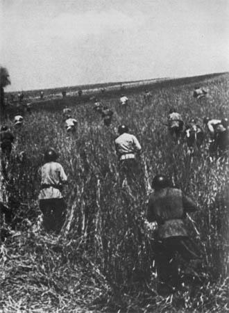 война