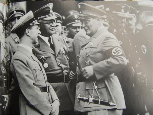 12737.jpg
