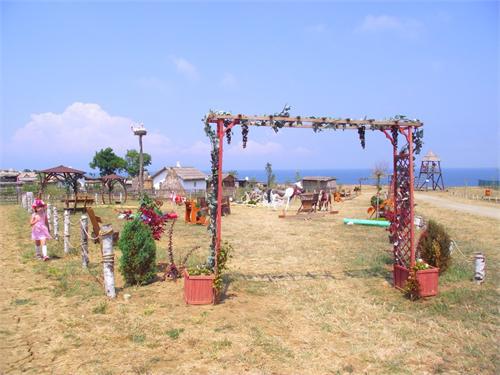 13206.jpg