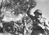 война