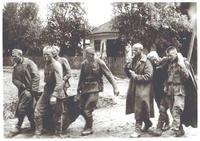 война