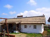 13197.jpg