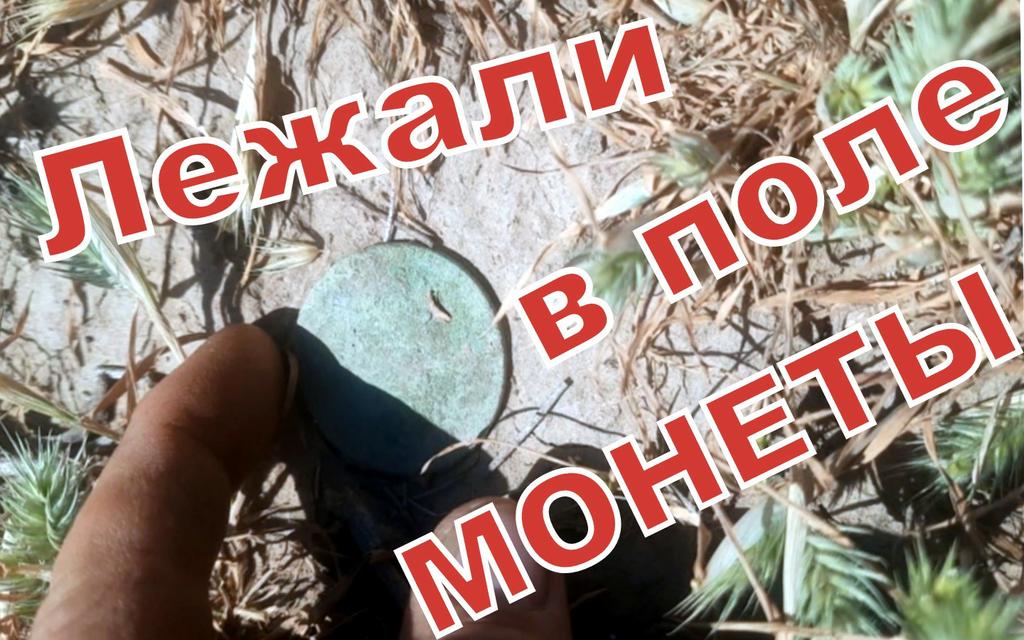 лежали в поле монеты