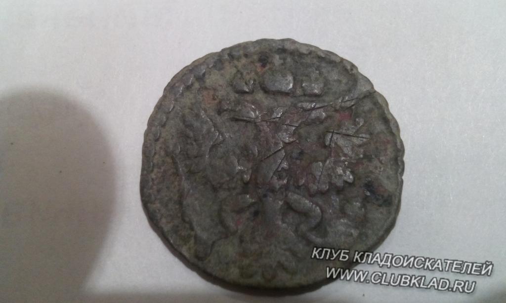 Что это за порезы,кто знает?