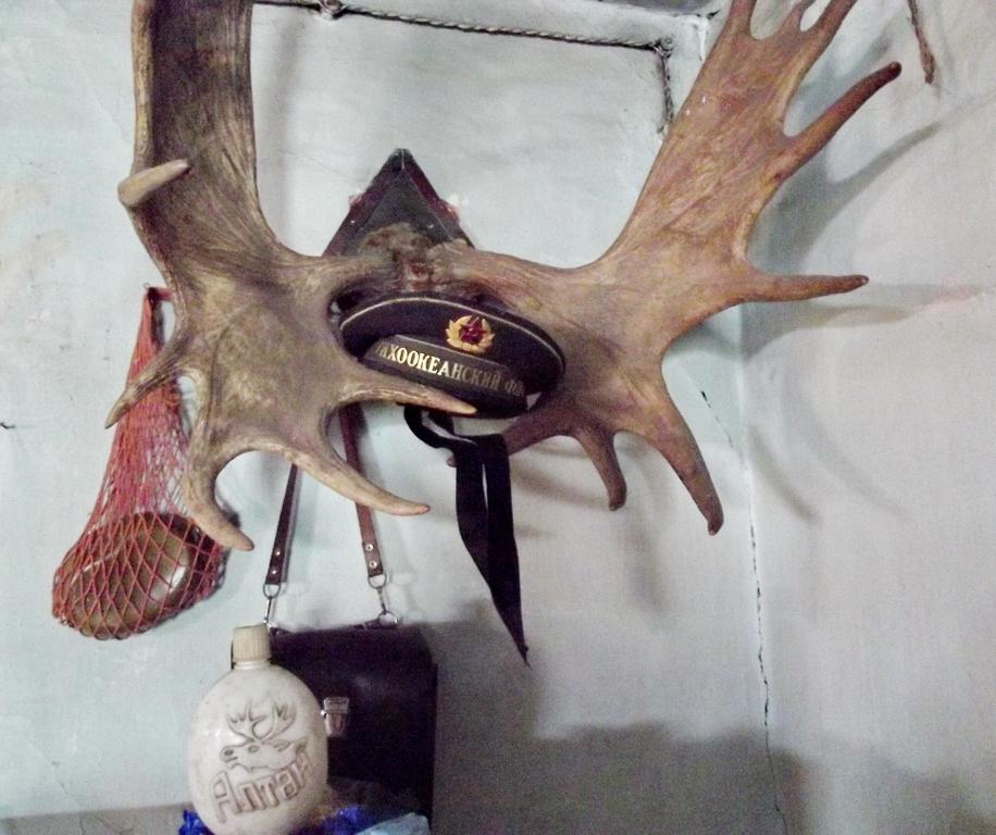 на родине найденные составленые рога лоя