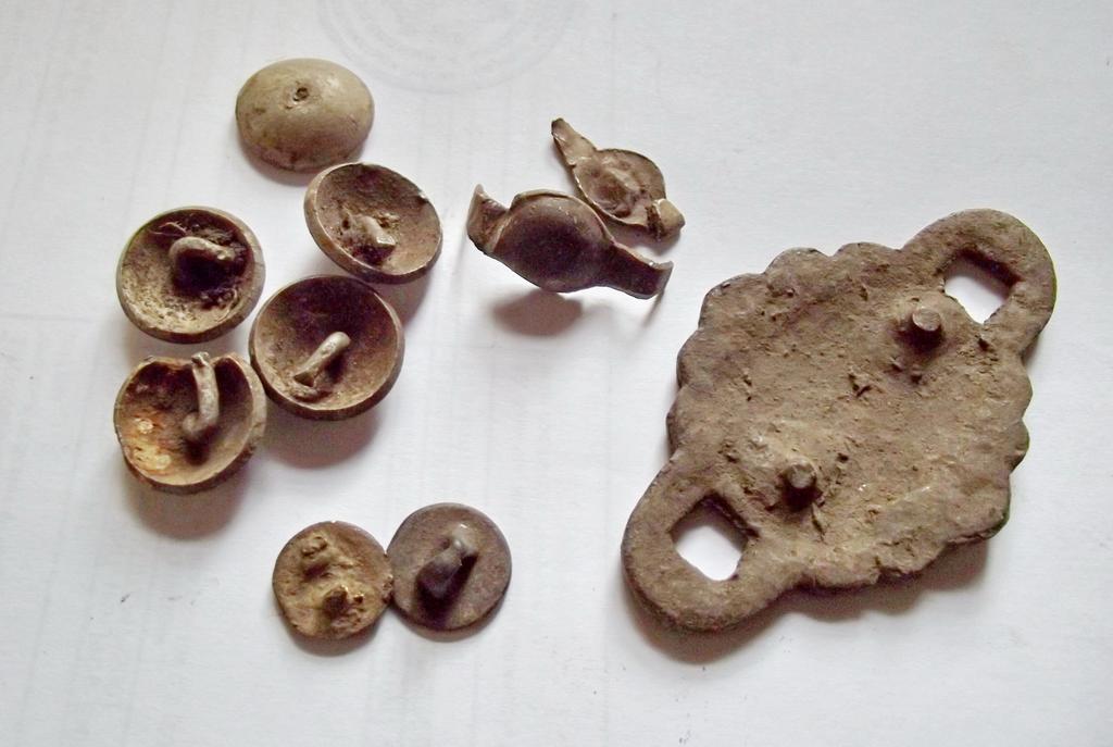 некоторые виды конины