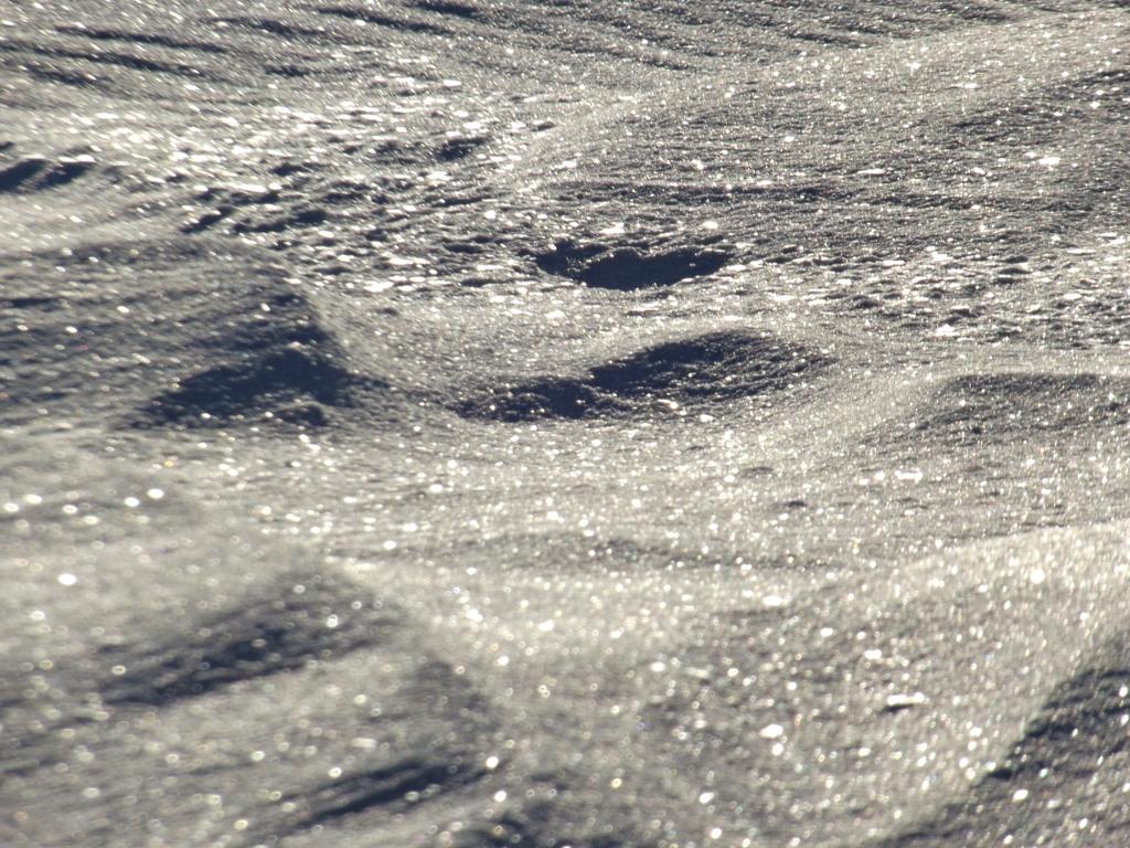 когда сойдет снег этой зимы будем искать