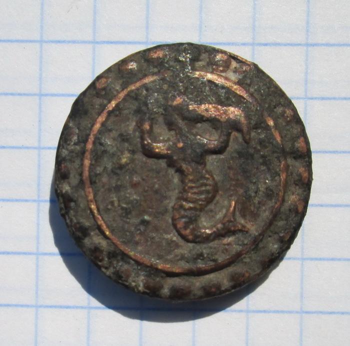 коралловый нарост