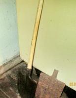 сохранились лопатки не в слом юбка разжималась