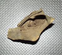 питарда лягушка