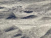 когда сойдет снег этой зимы будем искать