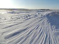 летом тут найден пятак 1878 и меоч