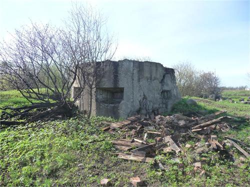 д.Большое Виттолово(сущь. до 1944г.), остатки опорного пункта немцев (ф.2)