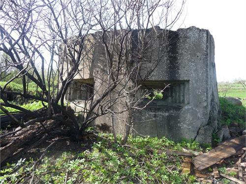 д.Большое Виттолово(сущь. до 1944г.), остатки опорного пункта немцев (ф.1)