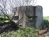 д.Большое Виттолово(сущь. до 1944г.), остатки опорного пункта немцев (ф.1)