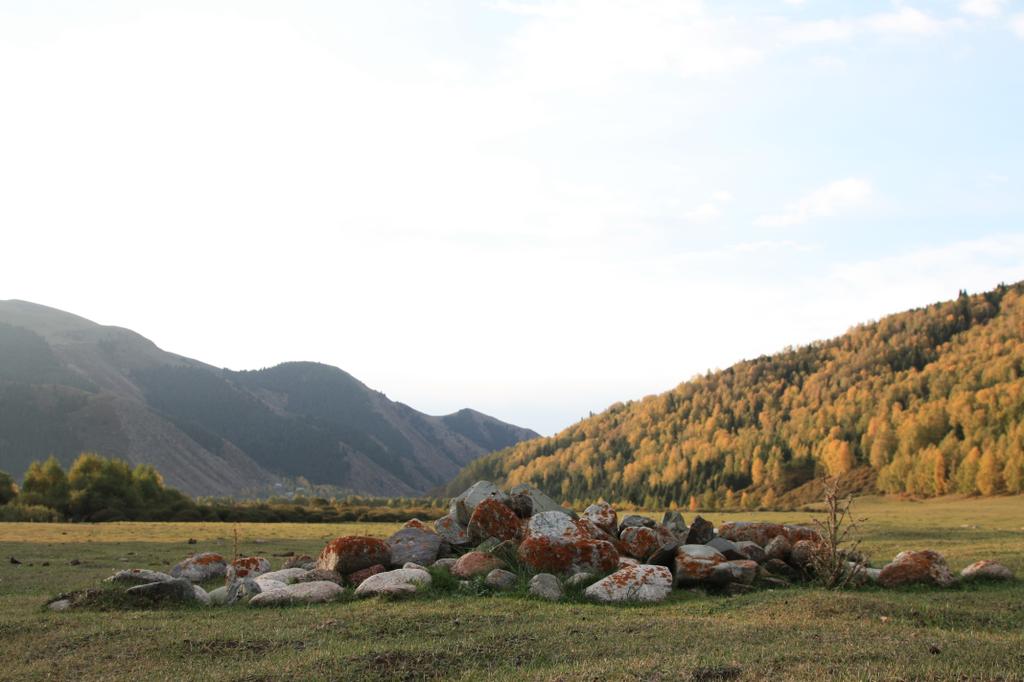 Тюркские курганы