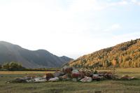 Тюркские курганы