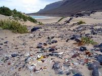 мусор на пляже 